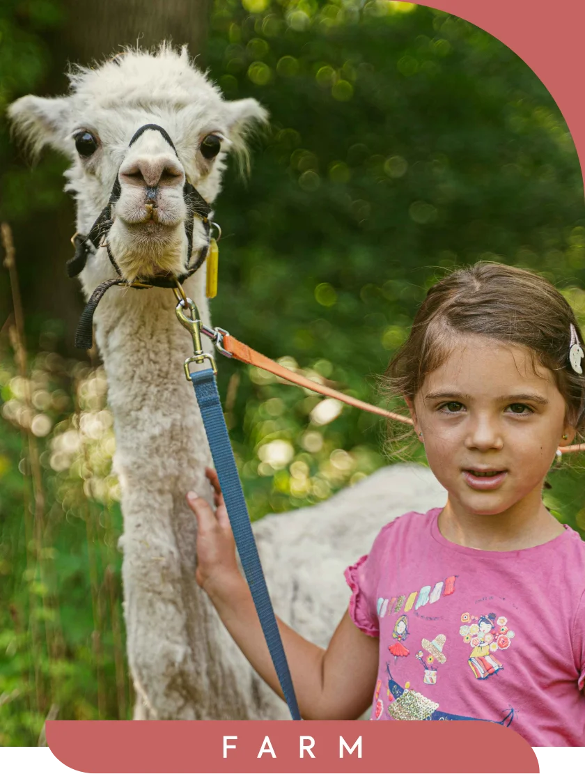 -Ca.Stella Camping M. San Giorgio